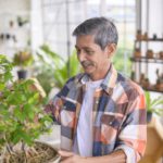 Belize’s QRP Program